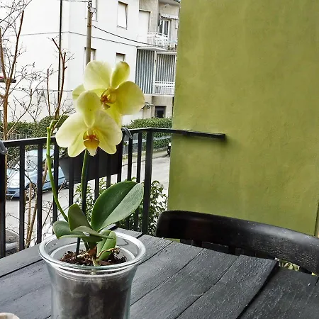 Casa La Rosa - Mare E Pineta - 2 Bici Incluse Ferienhaus